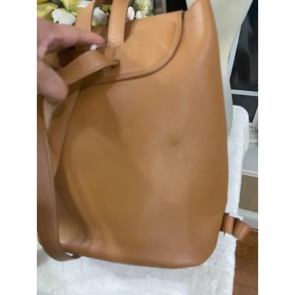 Everlane Petra Leather Backpack ((pu210